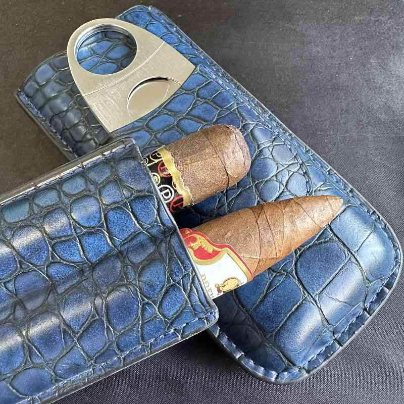 أنبوب السيجار 2 فتحات مع قاطع  - مراجعة Premium Cigar Case وسعره