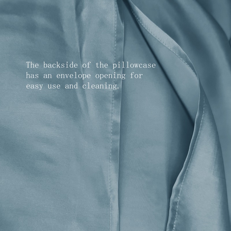 22 مللي متر الحرير المخدة 1 قط - مراجعة Silk Pillowcase وسعره